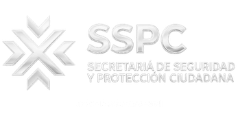 REPSE